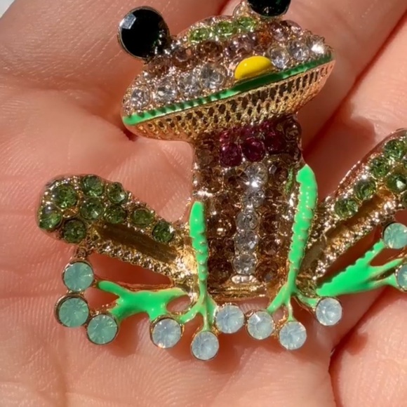 Anthropologie Multicolor Frog Brooch - Picture 5 of 6